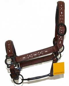 licol-catalona-dmh-equitation-2generation