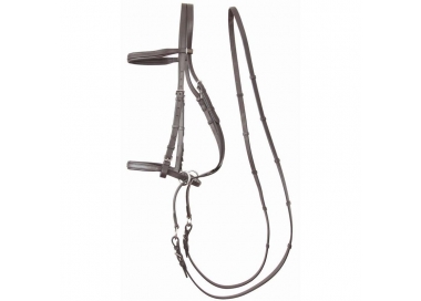 Bridon Bitless cuir TdeT