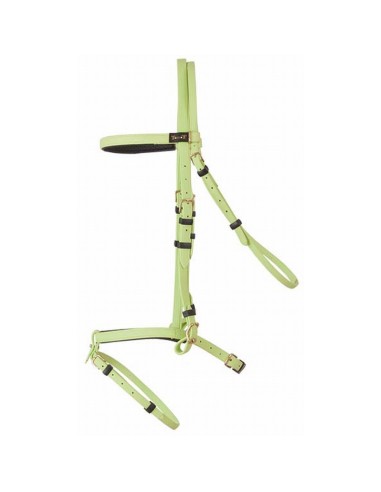 TdeT Bridon Biotack luxe  Bleu ciel