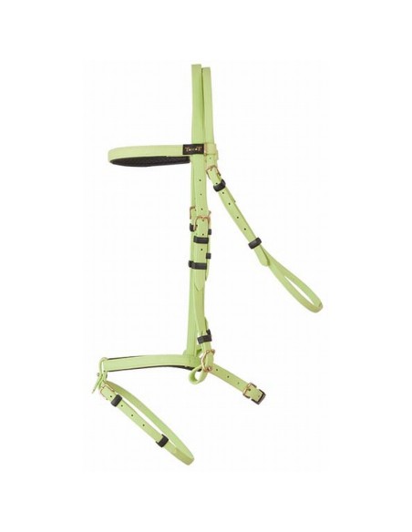 TdeT Bridon Biotack luxe  Vert clair