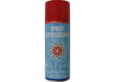 SAPO Spray réfrigérant anti douleur