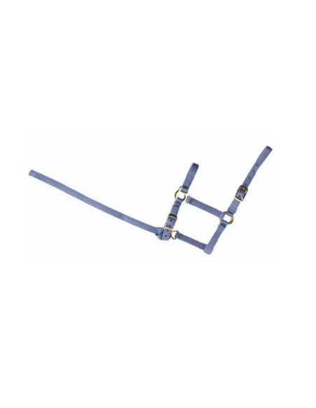 Licol nylon poulain ou foal