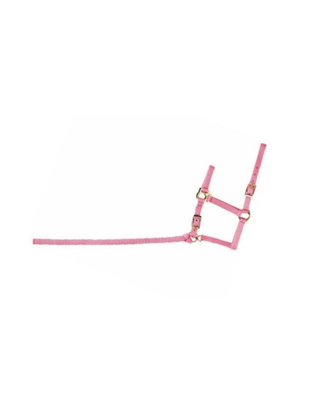 Licol nylon poulain ou foal