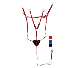 Martingale en cuir TdeT