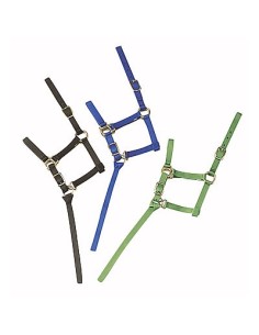Licol nylon poulain ou foal 2