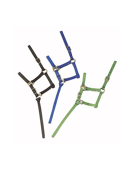licol-nylon-poulain-ou-foal