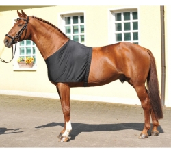 protection-de-poitrail-et-d-epaule-en-lycra-hkm