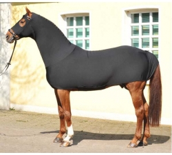 Ganzkörperschutz aus Lycra HKM