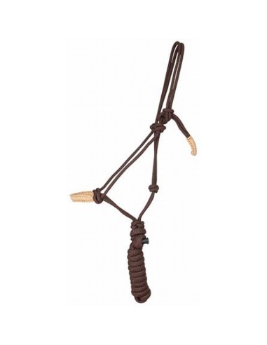 Licol + longe éthologique torsade TdeT Marron / Beige