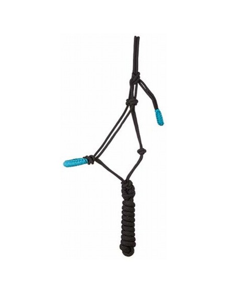 Licol + longe éthologique torsade TdeT Noir / Turquoise