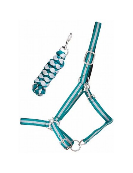 TdeT Licol doublé cuir et longe US Turquoise / Gris