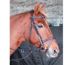 Bridon cuir de qualité par TdeT
