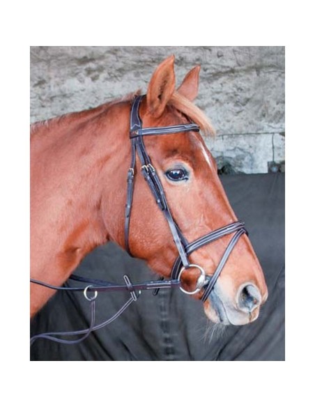 Bridon cuir de qualité par TdeT