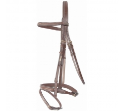 TdeT Bridon cuir Michel Robert