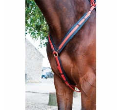 TdeT Collier de chasse Biotack Orange