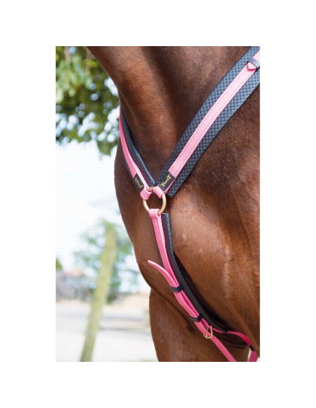 Collier de chasse Biotack de TdeT