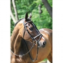 ProTanner Bridon clincher muserolle combinée 