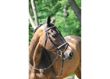 ProTanner Bridon clincher muserolle combinée 