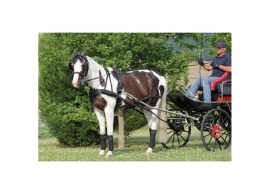 Harnais d'attelage Conty poney pur-sang cheval trait