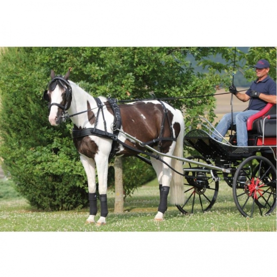 Harnais d'attelage Conty poney pur-sang cheval trait
