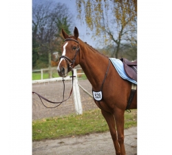 Porte-numéro pour compétition Riding- World