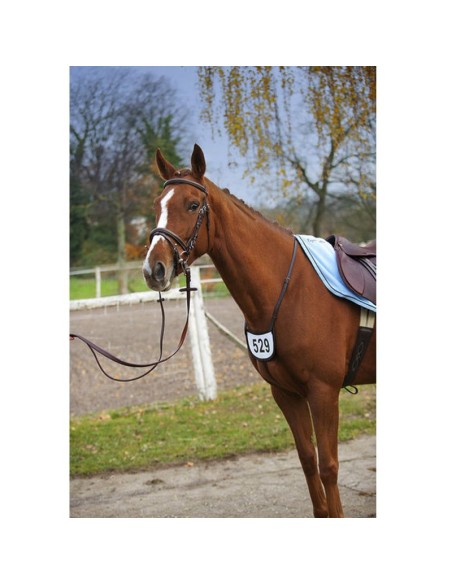 Porte-numéro pour compétition Riding- World