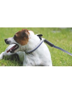 Collier pour petit chien cuir et strass 2