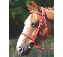 Bride De Spectacle Pour Poney GFS – Taille Small, Cuir Marron, Fabrication Anglaise, Neuve