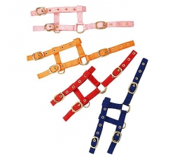 licol-nylon-reglable-mini