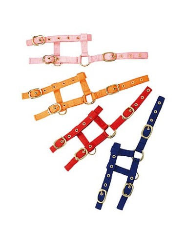 licol-nylon-reglable-mini