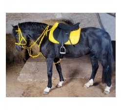 TdeT Bridon licol Biotack luxe Jaune