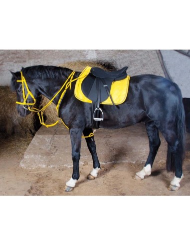 TdeT Bridon licol Biotack luxe Jaune