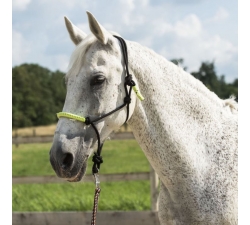 Licol éthologique + longe fun colour Vert