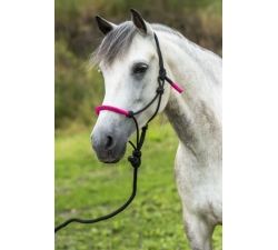 Nylonhalfter mit Leder unterlegt + amerikanischer Anbindestrick im Set