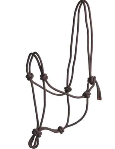 Licol de présentation et sa longe assortie qualité+ poney ou cheval