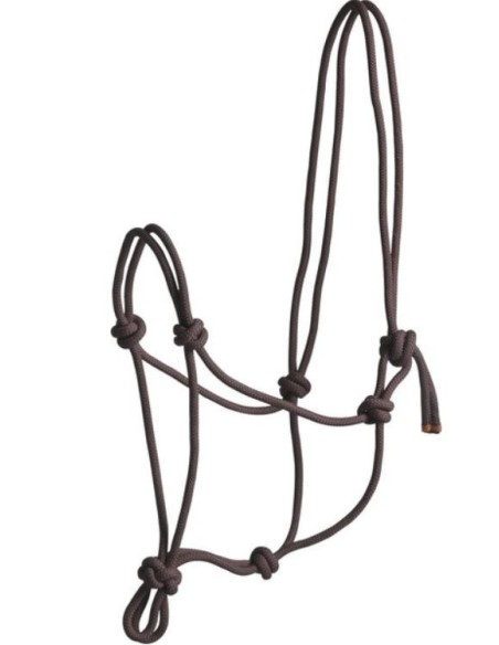 Licol corde first Marron