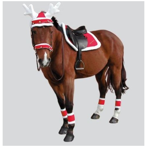 Habillez vos chevaux aux couleurs de Noël - Cheval Magazine Habillez vos chevaux aux couleurs de Noël - Cheval Magazine