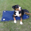 Tapis pour chien Empreintes Performance