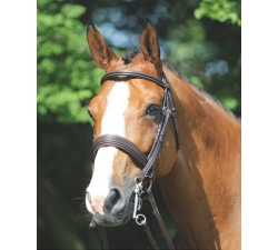 Bride de dressage premier prix qualité +
