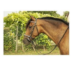 Bridon Clincher Goya TDET