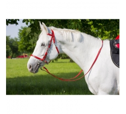 Bridon de rando Norton synthétique