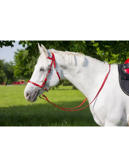 Bridon de rando Norton synthétique Rouge