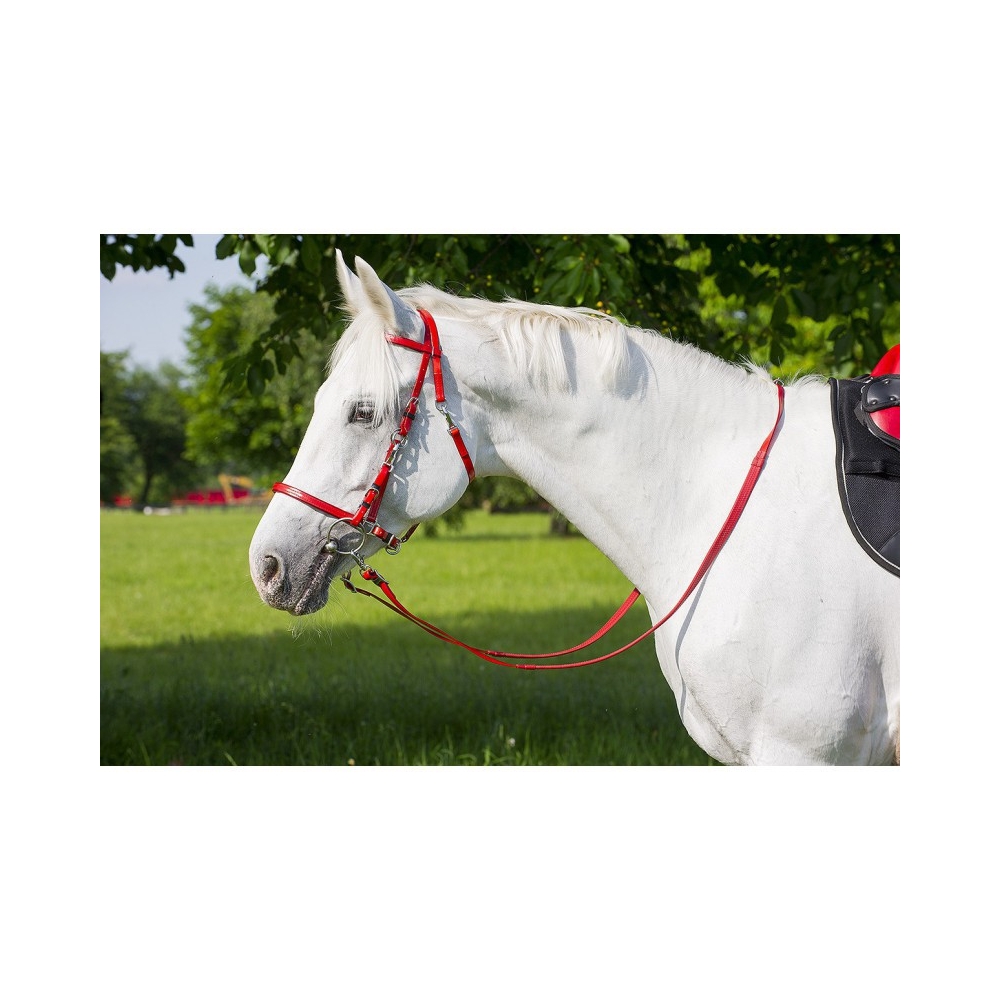 Charms Cornaline/Cristal - Sellerie instant cheval Charms Cornaline/Cristal - Sellerie instant cheval