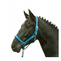 Licol cheval fluo HKM jaune orange vert bleu shetland au trait Bleu roi