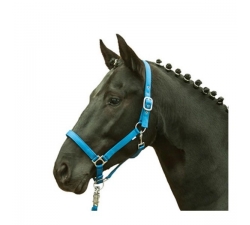 Licol cheval fluo HKM jaune orange vert bleu shetland au trait Bleu roi