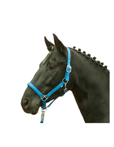 Licol cheval fluo HKM jaune orange vert bleu shetland au trait Bleu roi