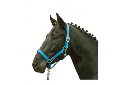 Licol cheval fluo HKM jaune orange vert bleu shetland au trait