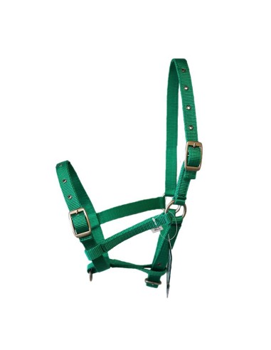 Licol nylon FOAL Impérial riding Bleu roi