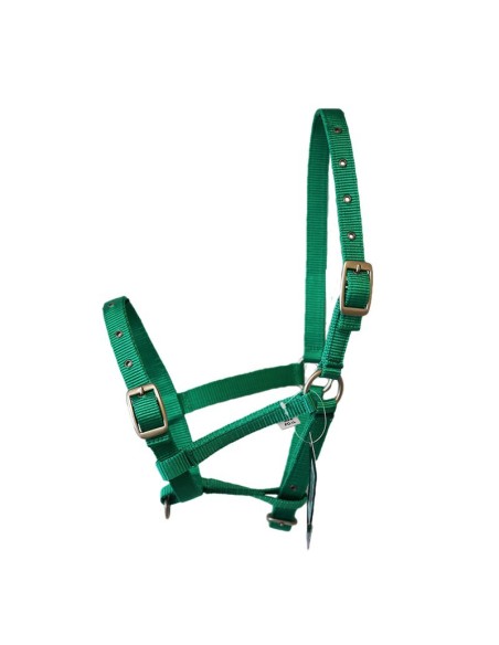 Licol nylon FOAL Impérial riding Vert