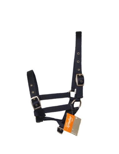 Licol nylon FOAL Impérial riding Bleu roi